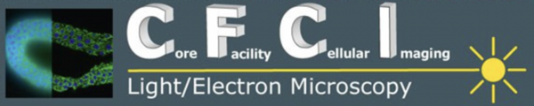 Logo of the CFCI, the Core Facility Cellular Imaging at TU Dresden