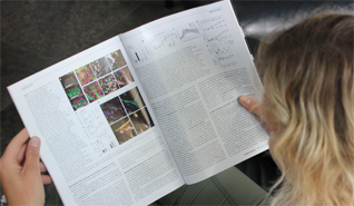 A person reading a newspaper